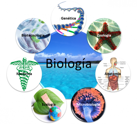 Posición de la biología entre las ciencias