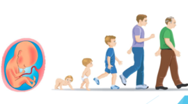 Timeline: LINEA DEL TIEMPO - Desarrollo y Aprendizaje Motriz