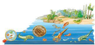 ERA PRIMARIA (PALEOZOICO)