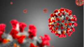 Timeline: Storia del Covid-19 e diffusione in Italia