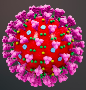IDENTIFICAZIONE DEL NUOVO VIRUS