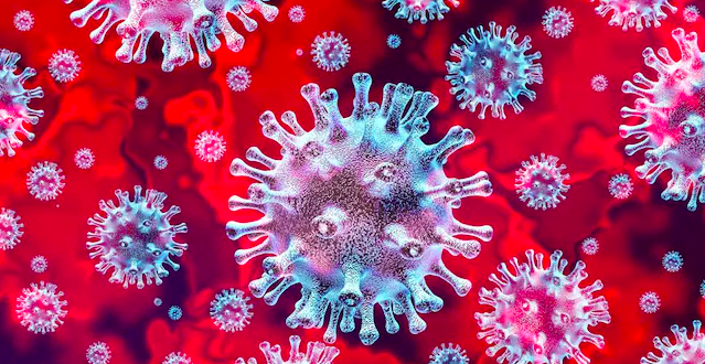 NUOVA IDENTIFICAZIONE DEL VIRUS