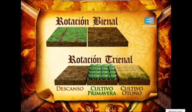 TRANSFORMACIONES DEL SIGLO XI