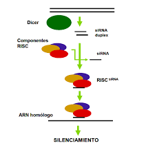 Silenciación genética