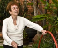 Origen del Movimiento Humano