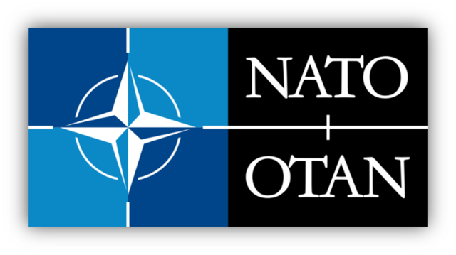 International Organization: NATO
