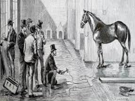 Comienzo de experimentos con CA en animales