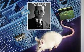 Primer laboratorio de ratas de Tolman