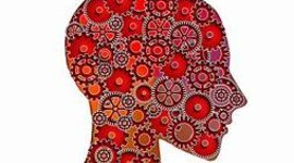 Timeline: Enfoque cognitivo conductual.