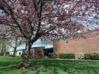 then i started studying at kibler bear elementary school.