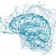 Neuropsicologia