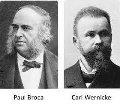 Monismo-Localizacionismo Figuras señeras en la historia de la Neuropsicología del lenguaje: Fueron Paul Broca (1824-1880) y Carl Wernicke (1848-1904).