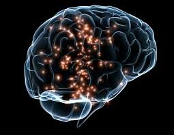 Mil novecientos Primera mitad del siglo XX. Orientación de Neuropsicología.