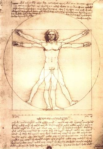 Leonardo's Studies of Anatomy