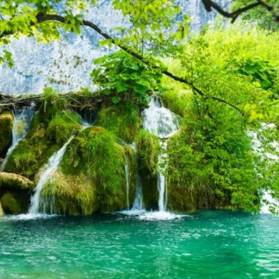 Timeline: La computadora