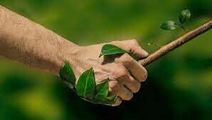 Derecho ambiental internacional.