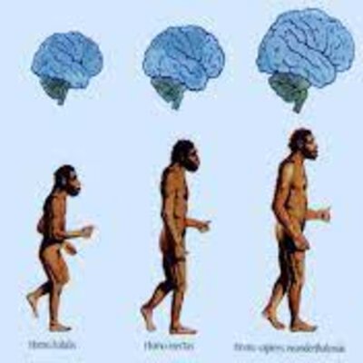 Timeline: Linea de tiempo antropologia