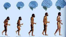 Timeline: Linea de tiempo antropologia