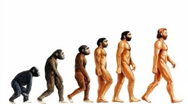 Timeline: Homonización Emily