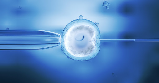 Mejora en la fecundación in vitro