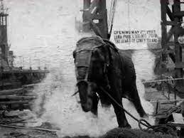 Electrocución de un elefante con nombre Topsy