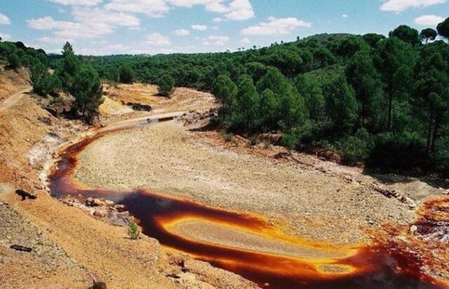 Peor Desastre de la Industria Minera en México.