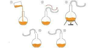 Pasteur y el experimento.