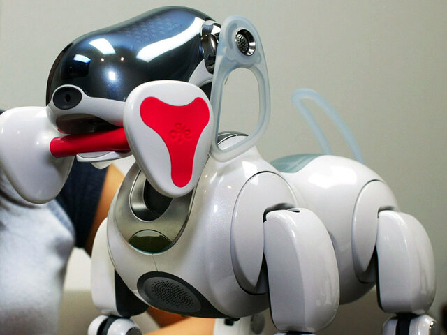 Aibo perro robótico