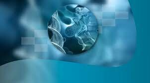 SISTEMA INMUNE A ATAQUES EXTREMOS