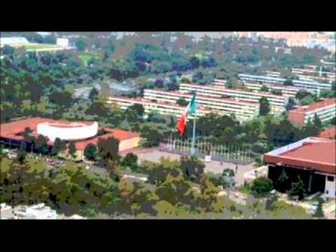 Educación Contemporánea; Disciplina educativa