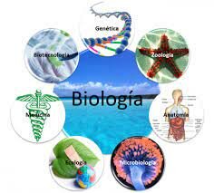 Opiniones acerca de la posición de la biología entre las ciencias.