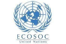 Estudio Ecosoc