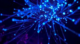 Timeline: Evolución de la internet