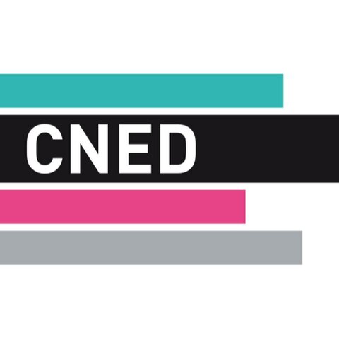 Se creó la Centre National d´Enseignement à Distance (CNED)