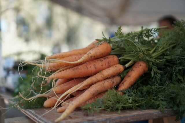 Productores/as locales y regionales