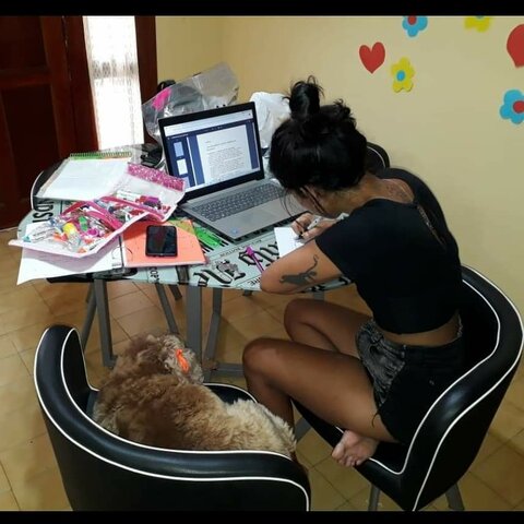 Licenciatura en Gestión Educativa