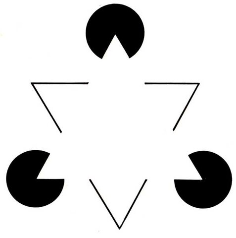 Psicologia della Gestalt- Wertheimer, Koffa, Köhler