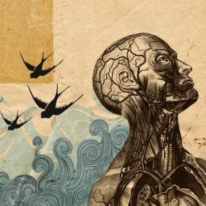 Las ideas de Titchener