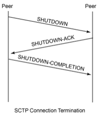 Creación del protocolo SCTP