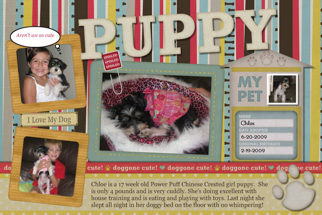 This is my  puppy   Chloe.