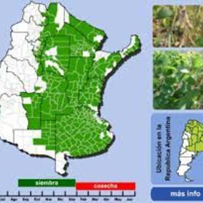 Timeline: Sojización