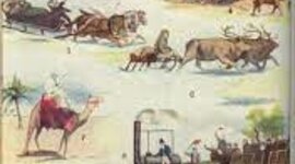 Timeline: Historia del Transporte