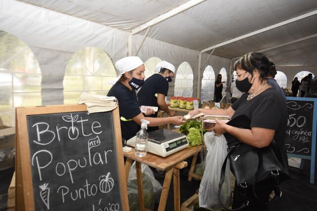 Cuidando la economía doméstica
