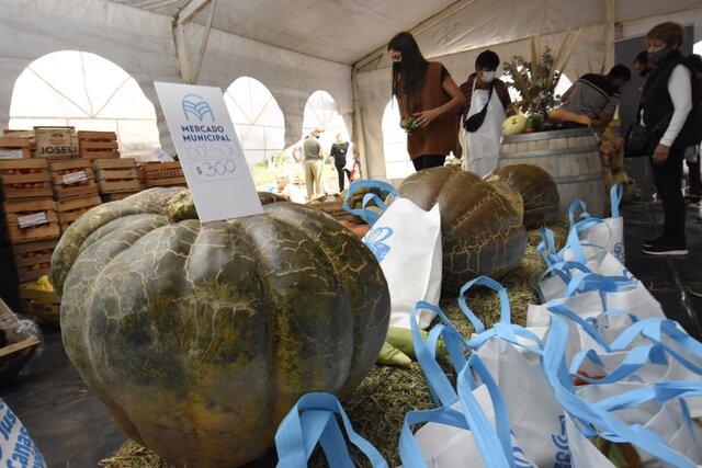 Productores locales y regionales