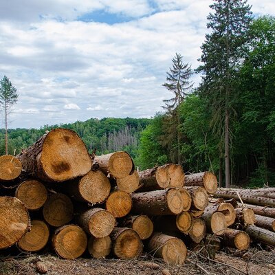 Timeline: MANEJO DE LOS RECURSOS NATURALES EN ARGENTINA :TIPOS