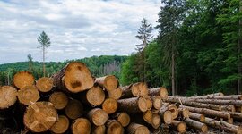 Timeline: MANEJO DE LOS RECURSOS NATURALES EN ARGENTINA :TIPOS