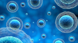 Timeline: Línea de tiempo de la citología