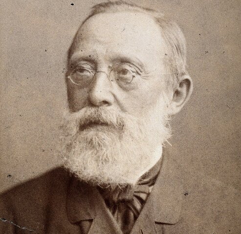 Una de las ideas que conforman la teoría celular