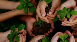 Timeline: Educación Ambiental en Colombia