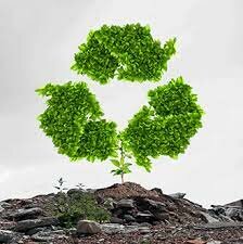 ISO 14004 Directrices generales sobre principios, sistemas y técnicas de apoyo